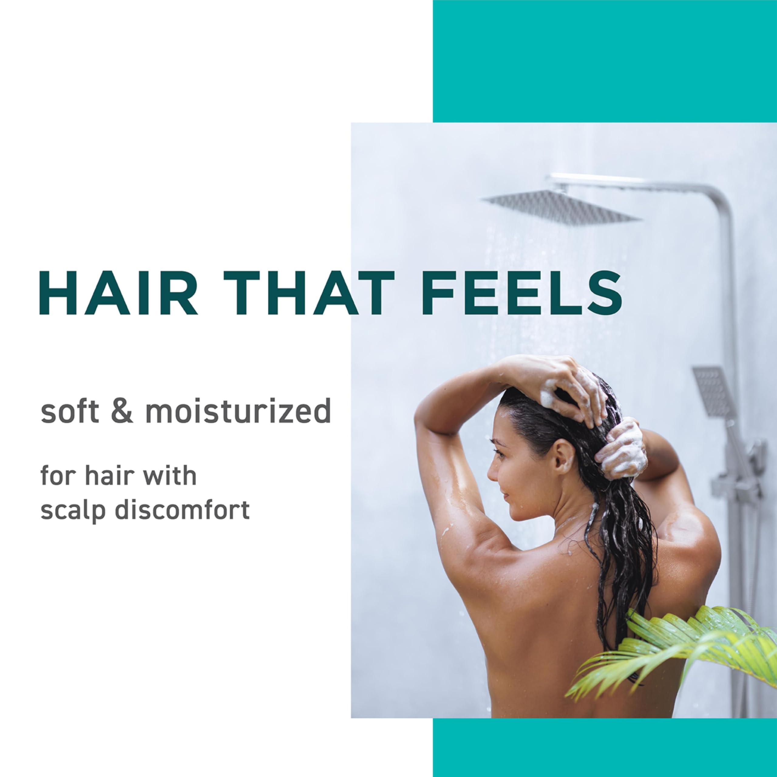 Jason Tea Tree Shampoo 12 oz - [size:12 Fl Oz (Pack of 1)]