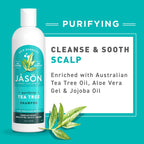 Jason Tea Tree Shampoo 12 oz - [size:12 Fl Oz (Pack of 1)]