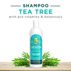 Jason Tea Tree Shampoo 12 oz - [size:12 Fl Oz (Pack of 1)]