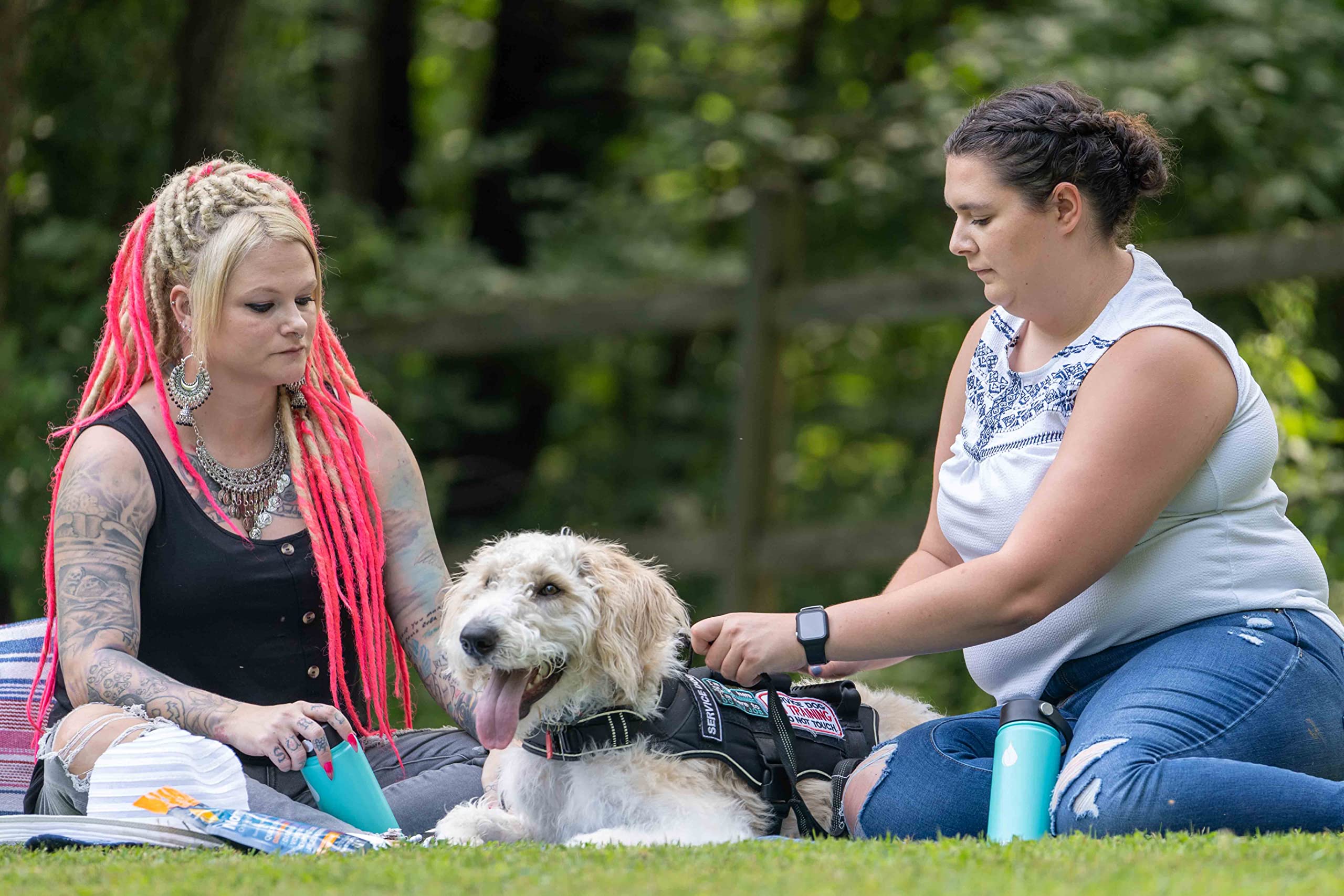 NormaLyte Pure - FSA Eligible Electrolyte Powder Packets | Clinically Studied Electrolyte Drink Mix | 6 Count Effective Hydration Sticks - [size:0.38 Ounce (Pack of 6)]