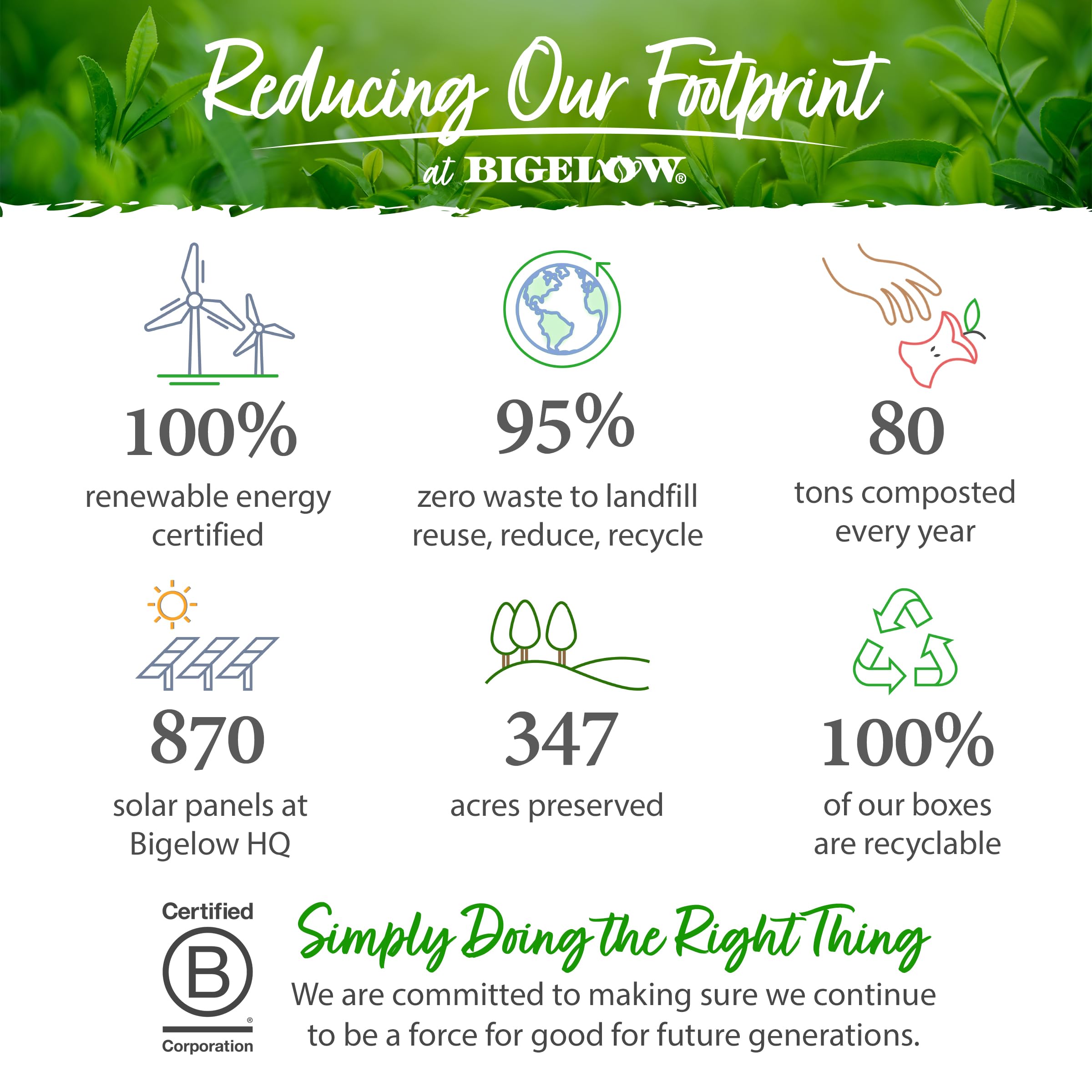 Bigelow Tea Earl Grey Black Tea, Caffeinated Tea, 20 Total Tea Bags (Pack of 1) - [size:20 Count (Pack of 1)]